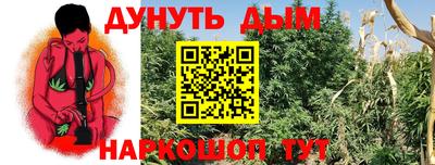 дживик Будённовск