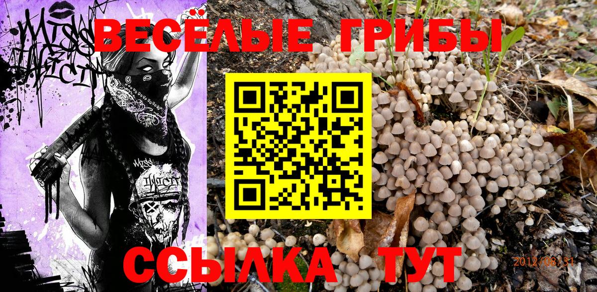 Псилоцибиновые грибы GOLDEN TEACHER Обнинск